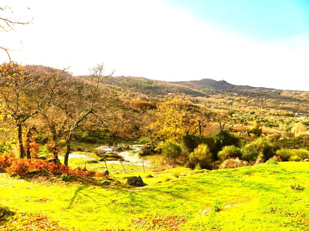 Quinta Do Marvao Guest House Cameră foto